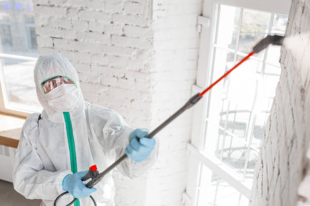Best Industrial Mold Remediation  in Governors Clu, NC