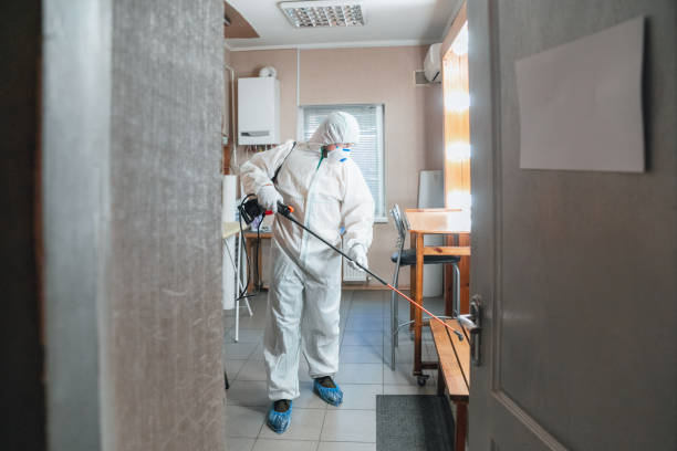 Mold Removal for HVAC Installations in Governors Clu, NC