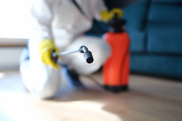 Governors Clu, NC Mold Removal Company