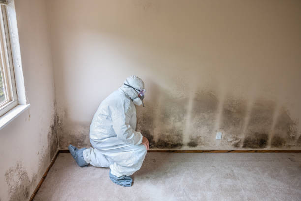 Best Post-Construction Mold Inspection  in Governors Clu, NC